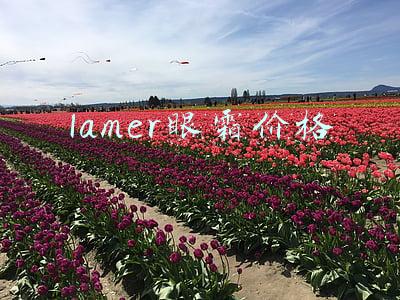 lamer是什么牌子眼霜(lamer眼霜怎么样 海蓝之谜眼霜使用评测)