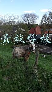 英国贵族学校排名