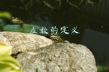 虚数的定义