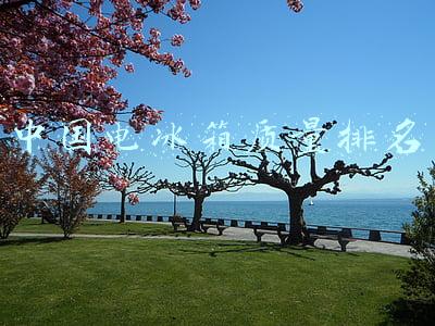 冰箱质量排名(家电避坑指南：2021年冰箱最全选购攻略\u0026各大品牌冰箱推荐)