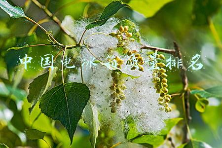 中国电冰箱质量排名