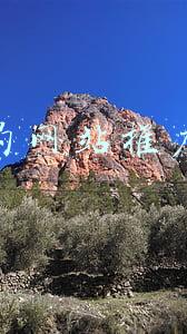 最火的推广软件(“国家反诈中心APP”宣传推广，许庄街道网格员很卖力)