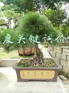 百度关键词价格查询软件(百度知道关键词引流怎么做？给你分享非常实用的百度知道营销软件)