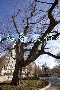 备案价格公示网(超3000套！盐城6盘备案价出炉)