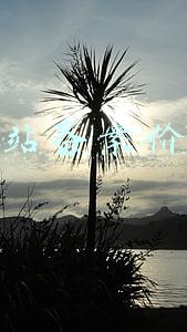 企业网站备案价格(网站域名个人备案和企业备案有什么区别？域名个人备案需要多久？)