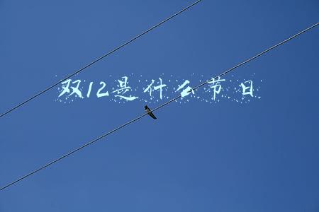 双12是啥节日(什么才是“双十一”？人民空军告诉你)