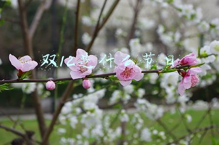 双12是啥日子(中国开工节：一个需要设立的节日)