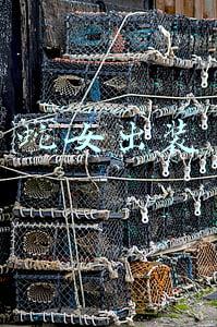 蛇女出装s9(岚切奎因成上单霸主 征服者蛇女中后期发力 新版本八大上分套路)