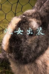 蛇女出装2021(《LOL》2021蛇女攻略)