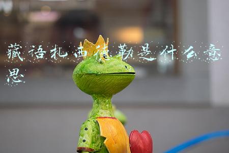 藏语扎西德勒是什么意思