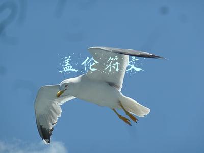 盖伦符文s9(S9计划疑似曝光，新增地图“符文之地的荒乱”，德玛西亚成恶势力)