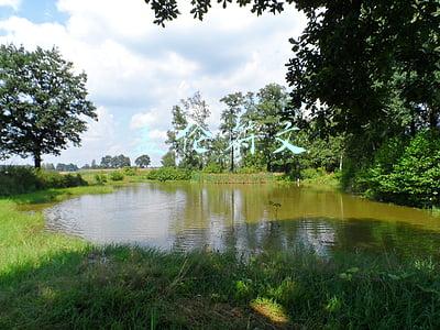 盖伦符文2022(暗黑2逆袭战网2022来了（开荒流程）)