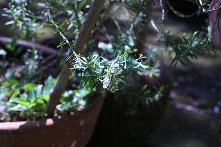 盖伦符文天赋(英雄联盟：无限火力盖伦大型攻略)