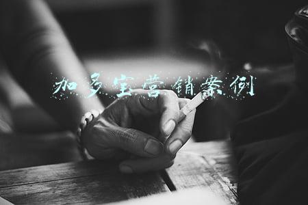 加多宝营销案例的具体营销过程(赢战春节创新高，看加多宝营销之道)