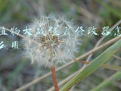 植物大战僵尸修改器怎么用