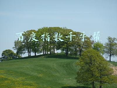 百度指数数据分析平台(微信SEO十万个为什么，微信指数与百度指数的区别)