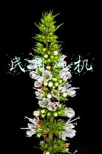 民用风机