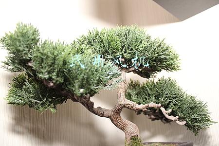 民用引风机(风机选型及计算)