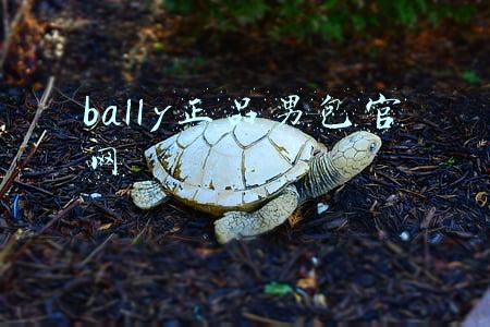 巴利 bally 正品 男包(来自老婆大人的礼物：BALLY 巴利 TABELIO SM280 男士单肩包)