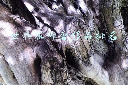 世界顶级奢侈品衣服排行榜(2021全球高档和奢侈品牌价值50强榜单)