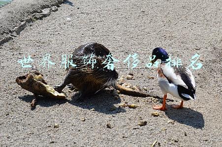 世界服饰奢侈品排名