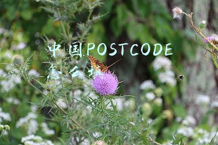 中国POSTCODE怎么填