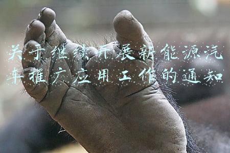 关于加快新能源汽车推广应用的指导意见(云南云天化股份有限公司 第八届董事会第四十二次（临时）会议决议公告)