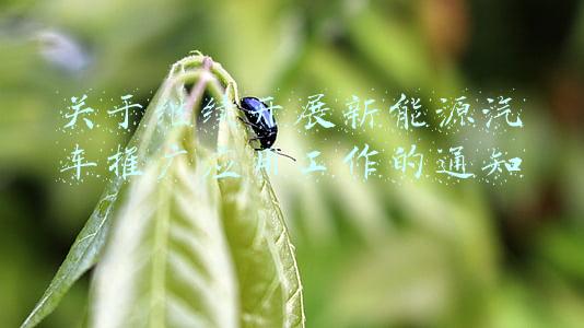 促进新能源汽车发展的措施(推进新能源汽车发展，2022年将有哪些举措？)