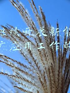 关于继续开展新能源汽车推广应用工作的通知