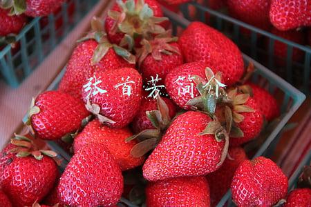 张新芳简介(张新芳：幼年丧父 中年丧夫 晚年丧子，你说她坚强？不，她无奈！)