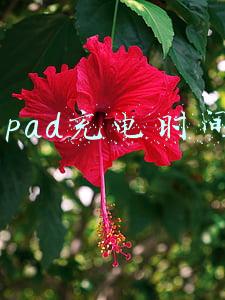 ipad充电时间