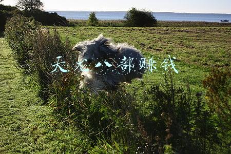 天龙八部赚钱攻略(天龙八部怎么赚钱 天龙八部七个赚钱方式介绍)