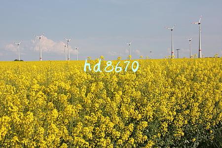 hd8670