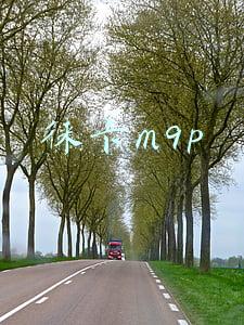 徕卡M9P优缺点(徕卡相机 | 以一张照片，热爱秋天)