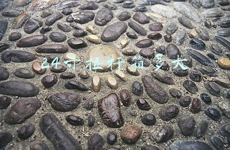 24寸拉杆箱多大尺寸(买多大的显示器？横评对比27英寸和24英寸，没入手的可以看一下)