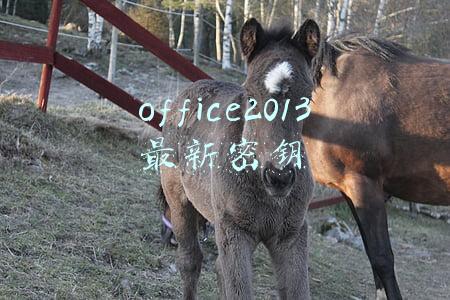 office2013最新密钥