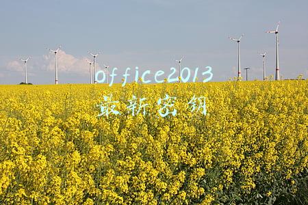 office2013最新密钥