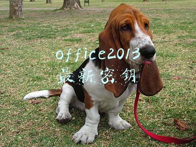 office2013最新密钥