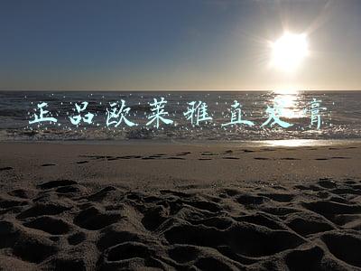 正品欧莱雅直发膏