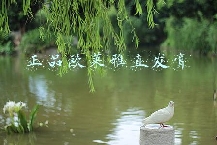 正品欧莱雅直发膏
