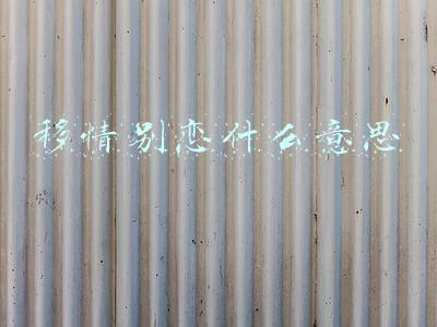 不要移情别恋什么意思(不要“三孩”只要“三猫”，年轻人“移情别恋”的答案是什么？)