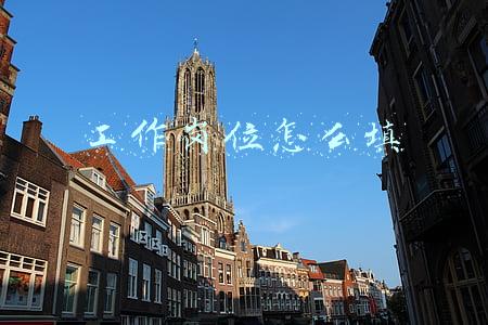工作岗位怎么填写才正确(啥是基层工作经历？《报名登记表》咋写？国考报名的疑问你得知道)