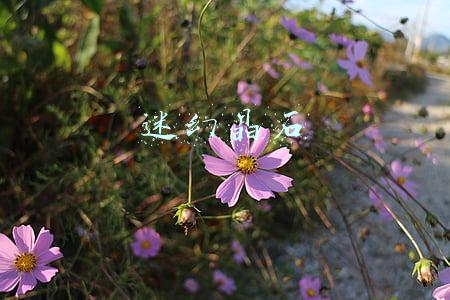 迷幻晶石有什么用(DNF新手必知三大NPC，没有他们玩家就没法玩)
