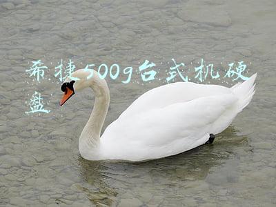 希捷500g硬盘价格(6GB内存+500GB硬盘！这台“千元”国产笔记本，配置使人无语)