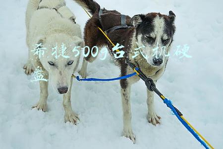 希捷固态硬盘500g(突破7000MB/s的极速“玩家”——希捷酷玩530固态硬盘深度测试)