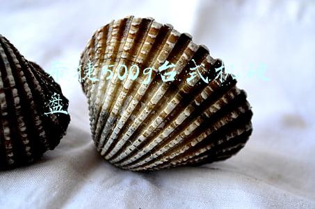 希捷500g台式机硬盘