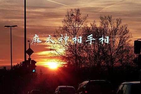 麻衣神相手相顺口溜(相学经典：袁柳庄《识人赋》秘传口诀（精藏全篇）)