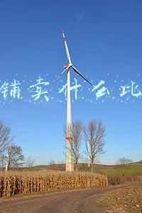 格子铺适合卖什么东西(探访全球最大小商品市场，一间格子铺年赚上百万，每年成交1200亿)