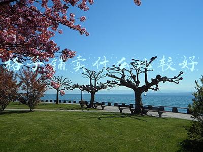 格子铺卖什么比较好 格子铺卖什么比较好