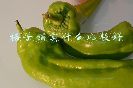 格子铺卖什么比较好 格子铺卖什么比较好